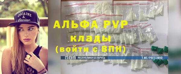 стафф Карпинск