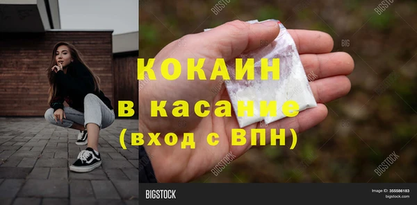 стафф Карпинск
