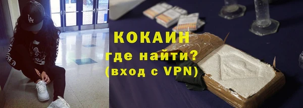 стафф Карпинск