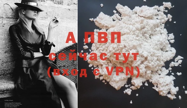 стафф Карпинск