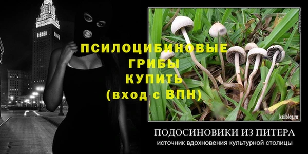 спиды Карталы