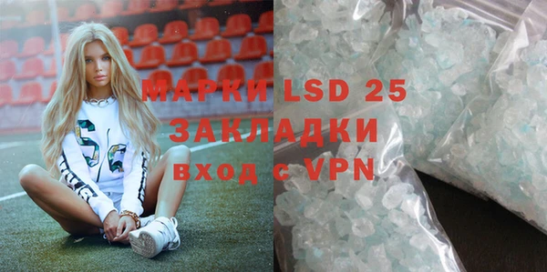 стафф Карпинск