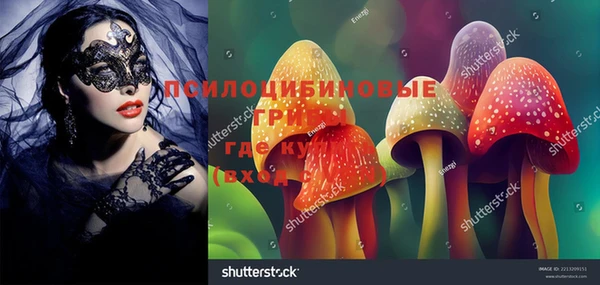 спиды Карталы