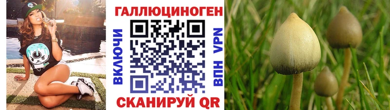 Галлюциногенные грибы прущие грибы  Лысьва 